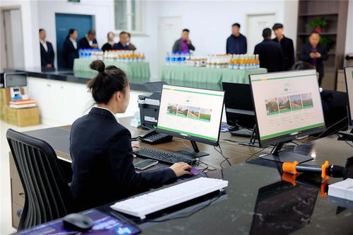 赤峰市農村牧區產權流轉服務中心成功完成首單信息咨詢服務交易